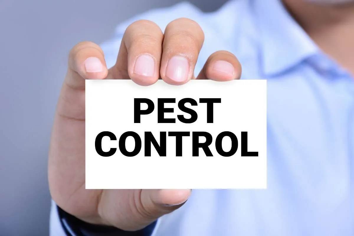 Professional pest control visit — choosing a trained local technician