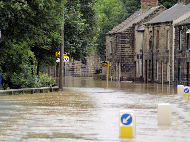 How to Combat Pests After a Flood