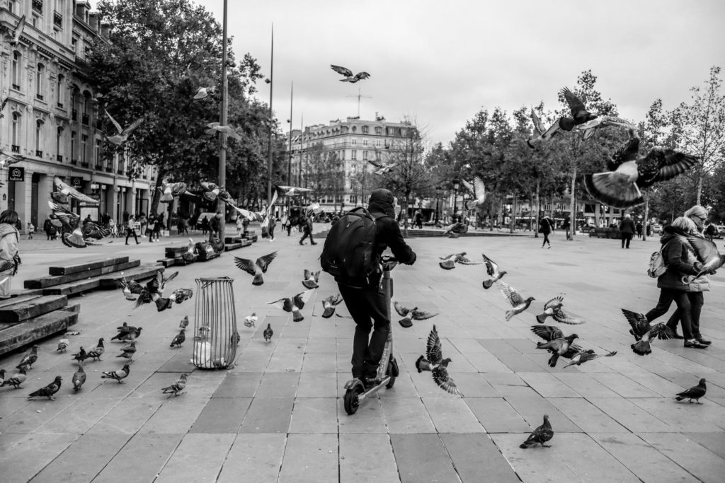 A young person on a scooter, riding through a city centre, with hundreds of pigeons flying around him. 