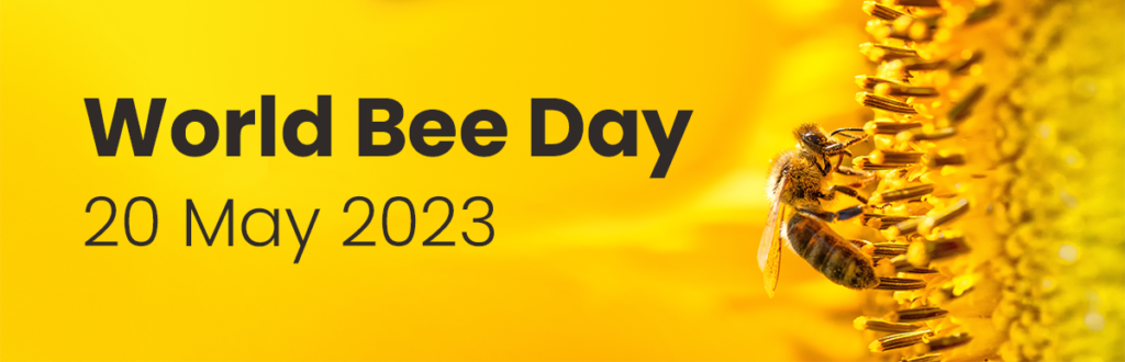 a bee on a yellow flower, next to the wording "World Bee Day - 20 May 2023"
