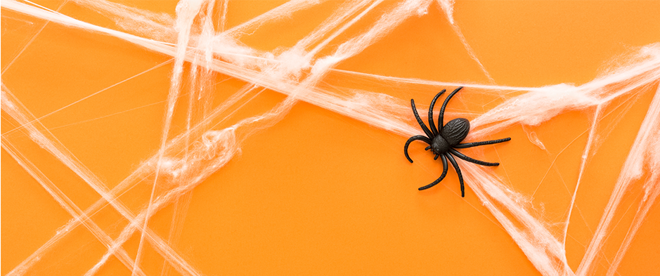 a plastic spider on fake webbing to represent halloween pests